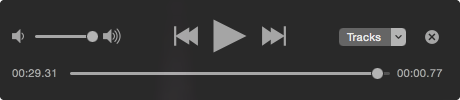 Preview playback controls