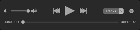 Preview playback controls